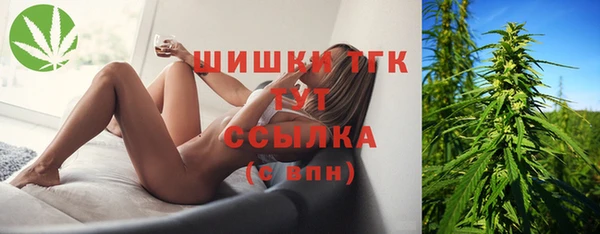 хмурый Богородицк