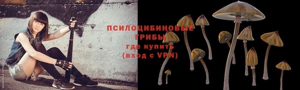 хмурый Богородицк