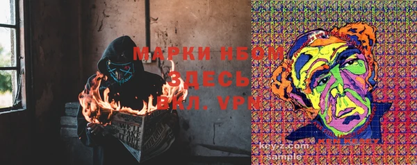 хмурый Богородицк