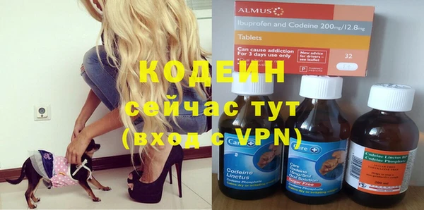 хмурый Богородицк