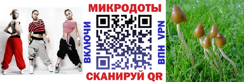 Галлюциногенные грибы Psilocybine cubensis  Купить где  Гуково 